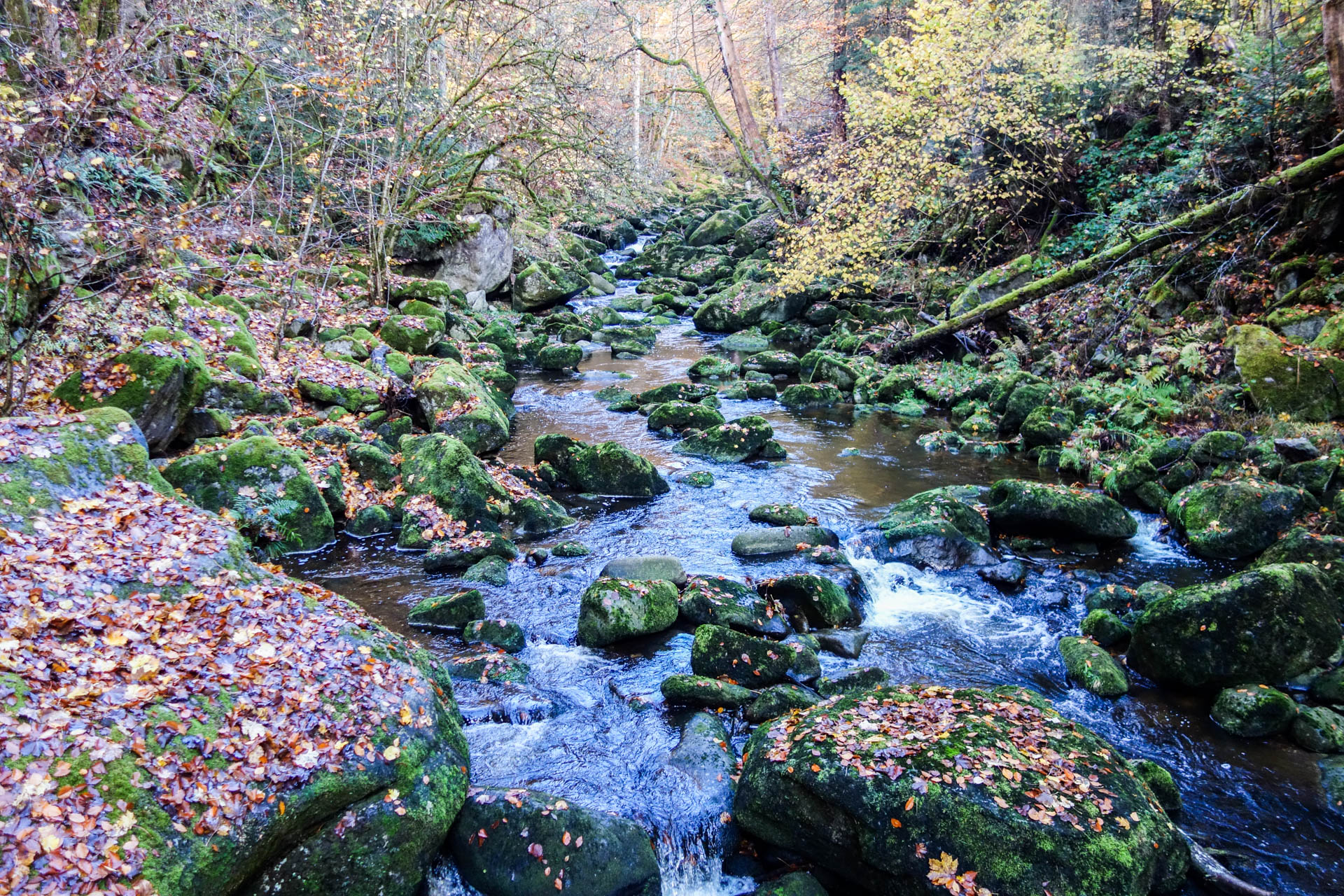 Frühlingszeit im Bayerischen Wald: leichte Ausflüge für Genießer und Naturfreunde