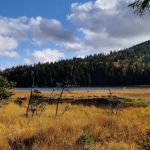 Der große Arbersee im Bayerischen Wald
