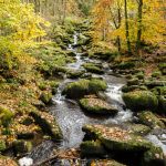 Naturerlebnis Saußbachklamm