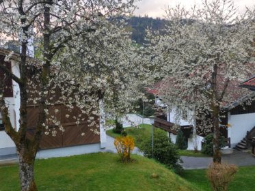 Frühlingsblick vom Balkon