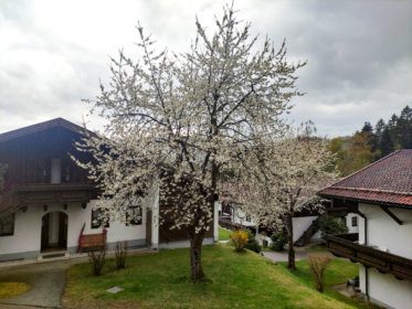 Aussicht im Frühling