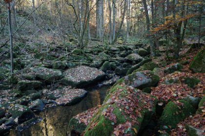 Saußbachklamm